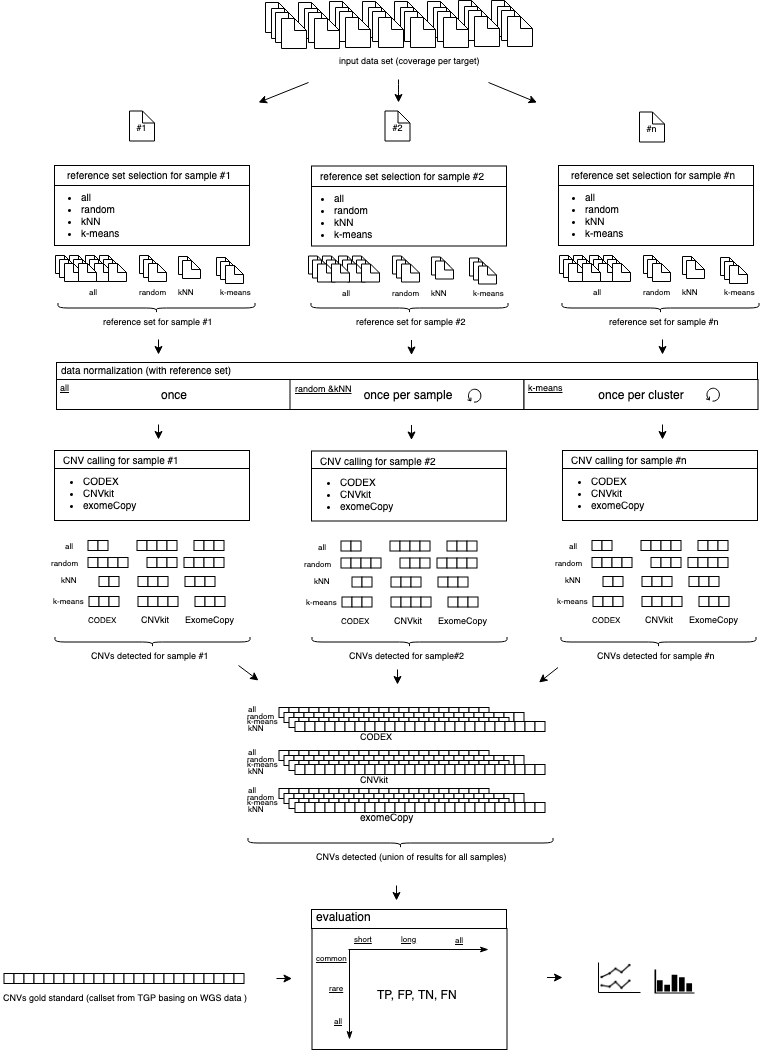 CNV method overview